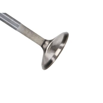 Manley Valve - Intake, Valve-DURAMAX 6.6L R/F 1.338