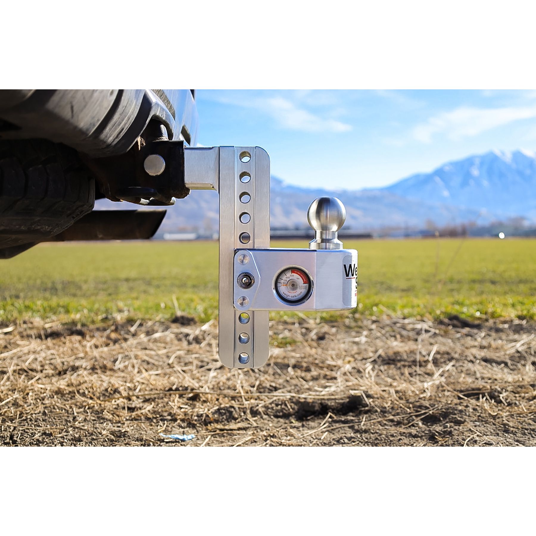 Weigh Safe 8" Drop Hitch with 2" Shank