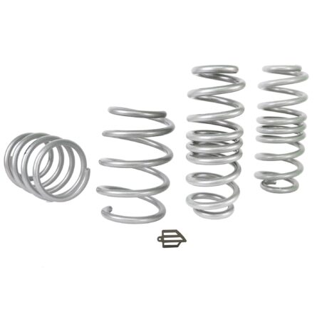 Lowering Spring Kit