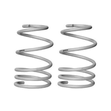 Front and Rear Lowering Spring Kit