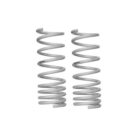 Front and Rear Lowering Spring Kit