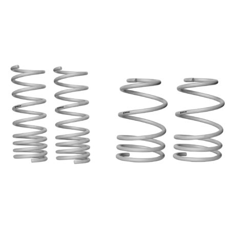 Front and Rear Lowering Spring Kit