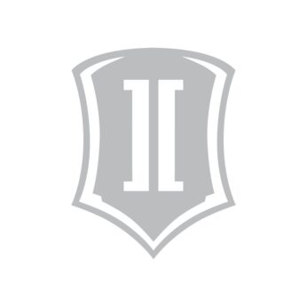 15 IN SHIELD SILVER